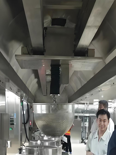 Custom Lifting Equipment Solutions for Food Industry